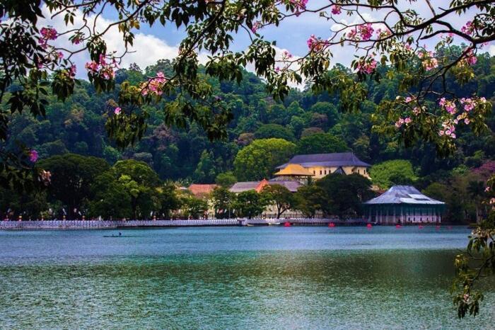 Red Chillies Tourist Inn Канді Екстер'єр фото